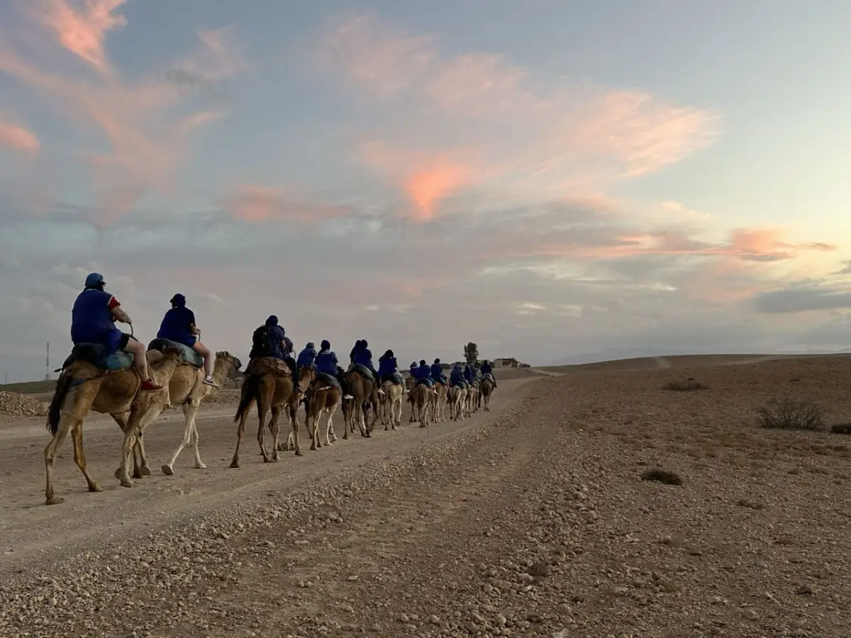 Pack Quad + Dromadaire + Transport — Expérience Complète im Agafay Desert